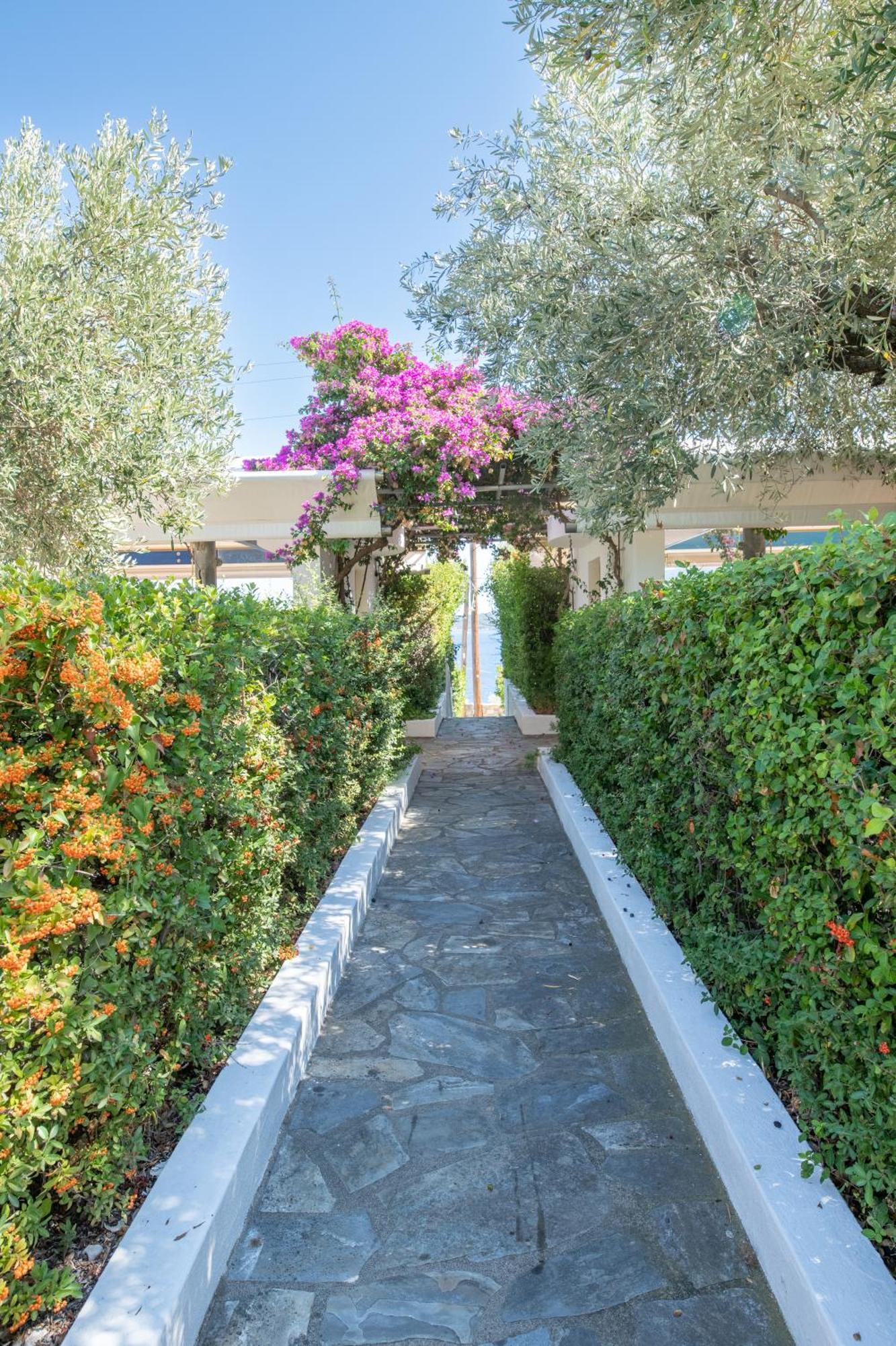 Elea Villas Steni Vala Alonissos Exterior foto